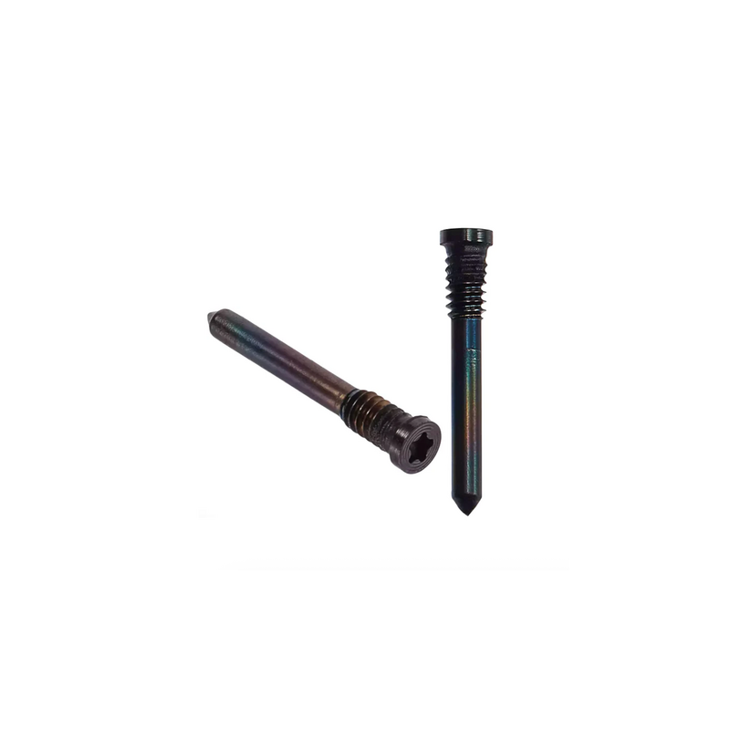 Kit de 2 Vis Du Bas iPhone 16/16+/16 Pro/16 Pro Max Noir