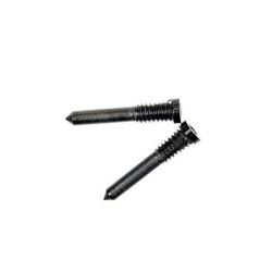 Kit de 2 Vis du Bas Pentalobe pour iPhone (X au 17 Pro Max) - Argent