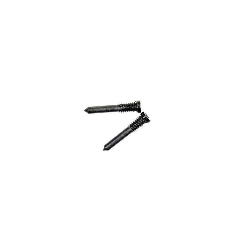Kit de 2 Vis du Bas Pentalobe pour iPhone (X au 17 Pro Max) - Argent
