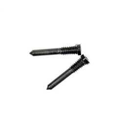 Kit de 2 Vis du Bas Pentalobe pour iPhone (X au 17 Pro Max) - Or