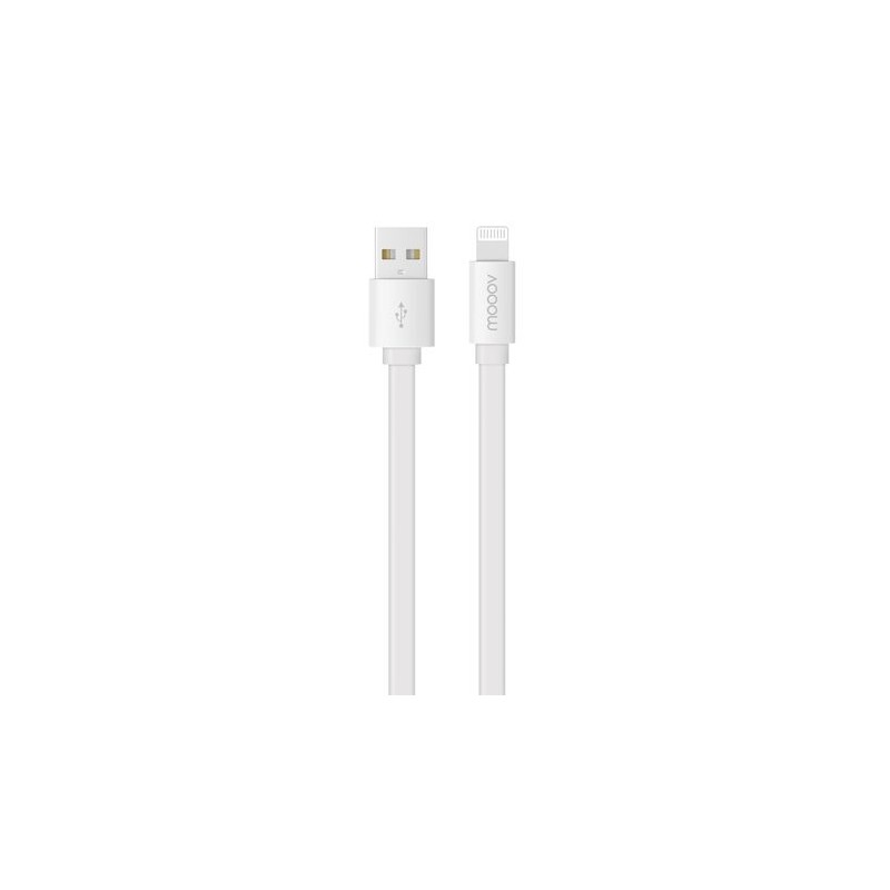 C&acirc;ble MFI / USB-A plat pour iPhone iPad 1 m - Blanc