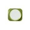 Bouton home Look iPhone 5S Compatible iPhone 5 VERT / BLANC
