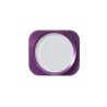 Bouton home Look iPhone 5S Compatible iPhone 5 VIOLET / BLANC