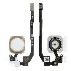 Nappe Home + Bouton iPhone 5S BLANC