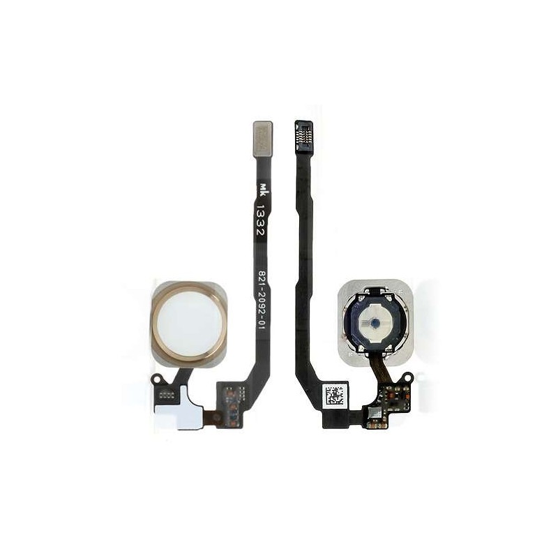 Nappe Home + Bouton iPhone 5S BLANC