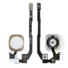 Nappe Home + Bouton iPhone 5S BLANC