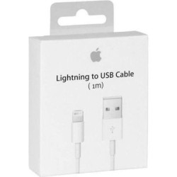 C&acirc;ble Original Apple USB Lightning Blanc 1 M&egrave;tre