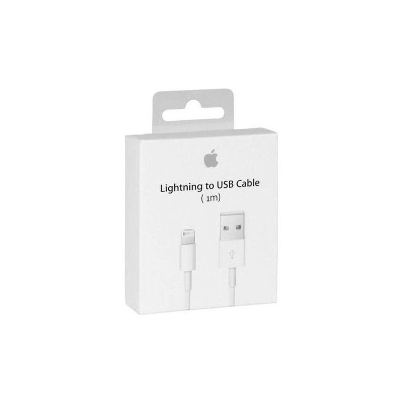 C&acirc;ble Original Apple USB Lightning Blanc 1 M&egrave;tre