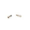Kit de Vis Du Bas iPhone 6 CHAMPAGNE OR