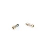 Kit de Vis Du Bas iPhone 7 CHAMPAGNE OR